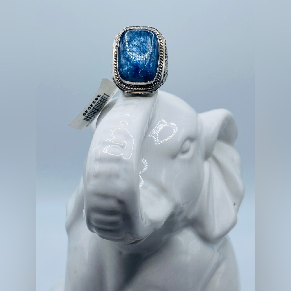 NWT Himalayan Kyanite Ring In Sterling Silver 925